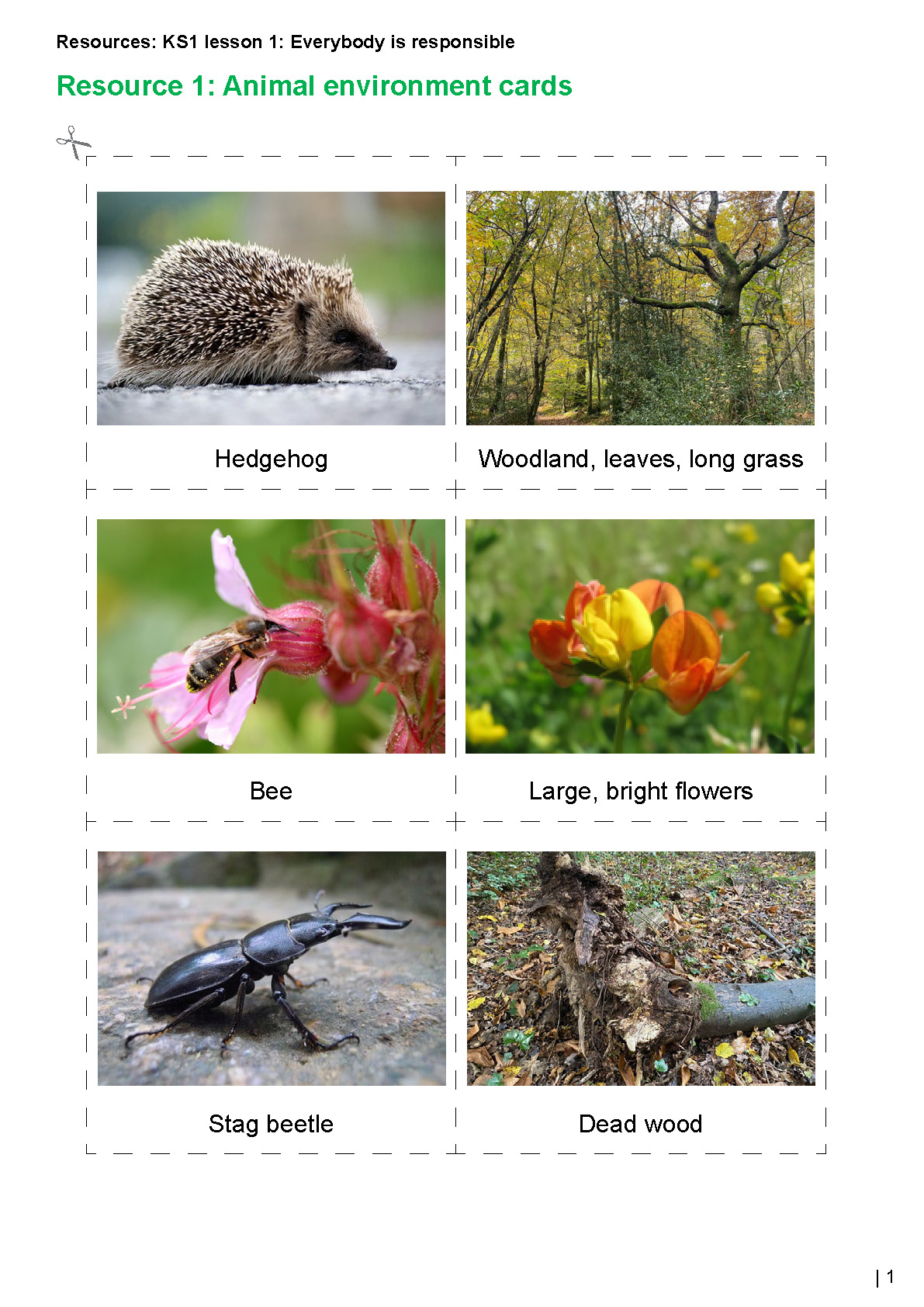 Caring for the environment